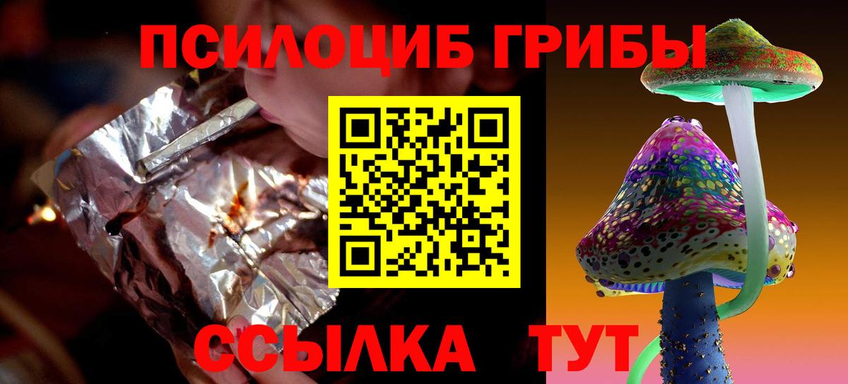 Псилоцибиновые грибы Psilocybine cubensis Апшеронск
